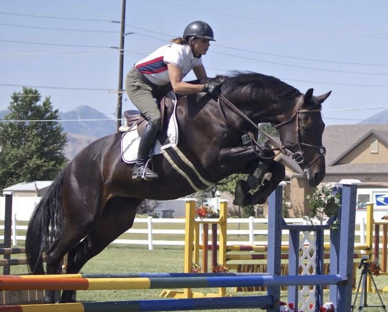 Allison Wicks competing over a show-jumping fence