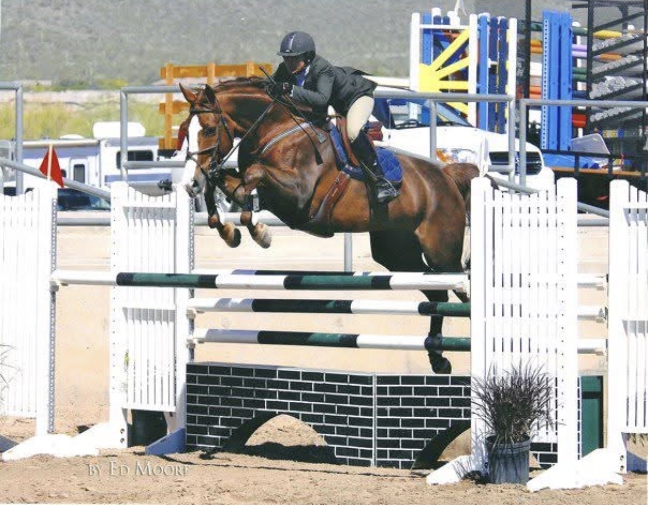 Allison Wicks and horse clearing a jump