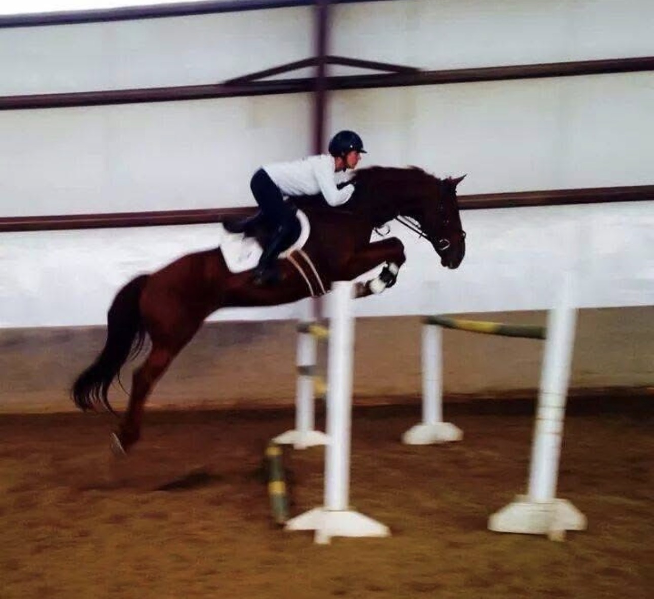 Indoor equestrian competition