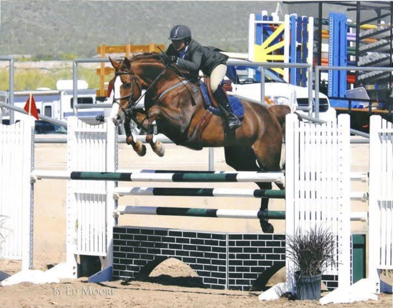 Allison Wicks competing at an outdoor horse show